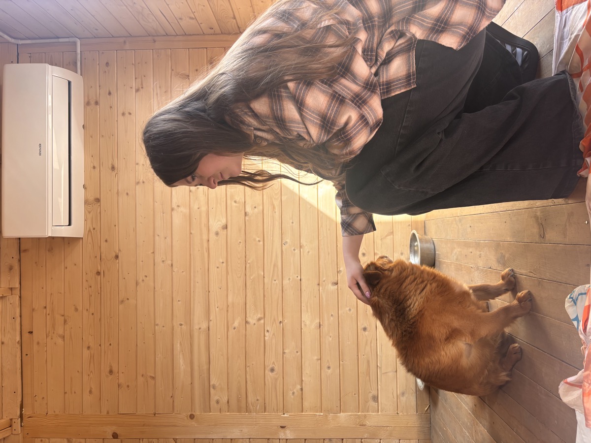 Wolontariuszka ZwierzoStrefy z kotem w schronisku